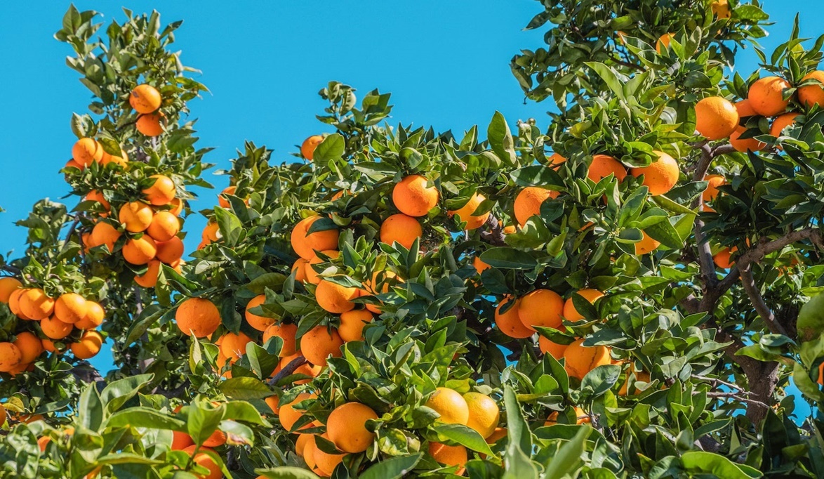 Image processed by CodeCarvings Piczard ### FREE Community Edition ### on 2023-09-24 13:36:52Z |  | ÿ